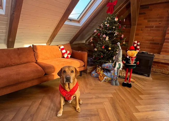 Stodola Baryczy Postolin